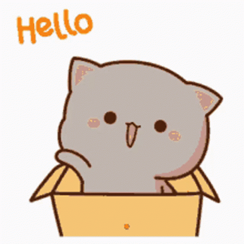 Assistant